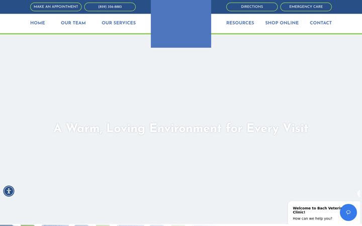 Screenshot of bachvet.com