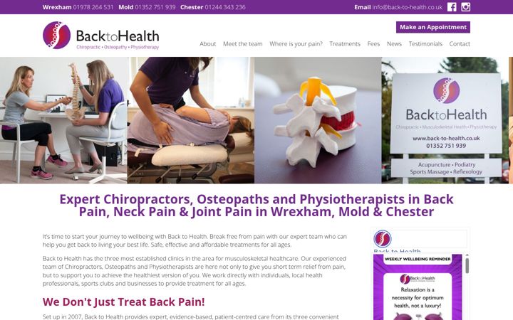 Screenshot of back-to-health.co.uk