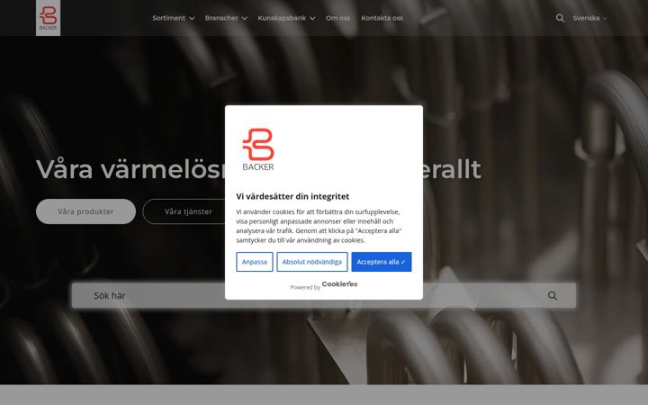 Screenshot of backer.se
