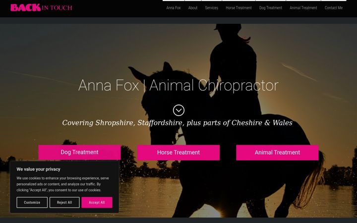 Screenshot of backintouch.org.uk