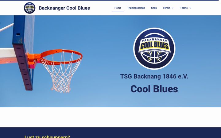 Screenshot ta' backnanger-basketballer.de