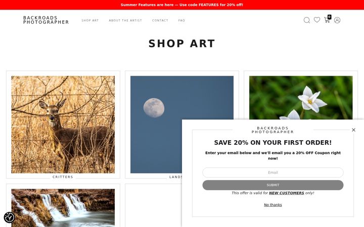 Screenshot of backroadsphotographer.com