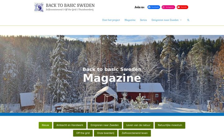 Screenshot of backtobasicsweden.nl