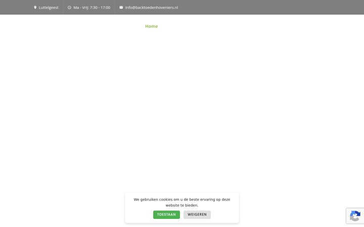 Screenshot of backtoedenhoveniers.nl