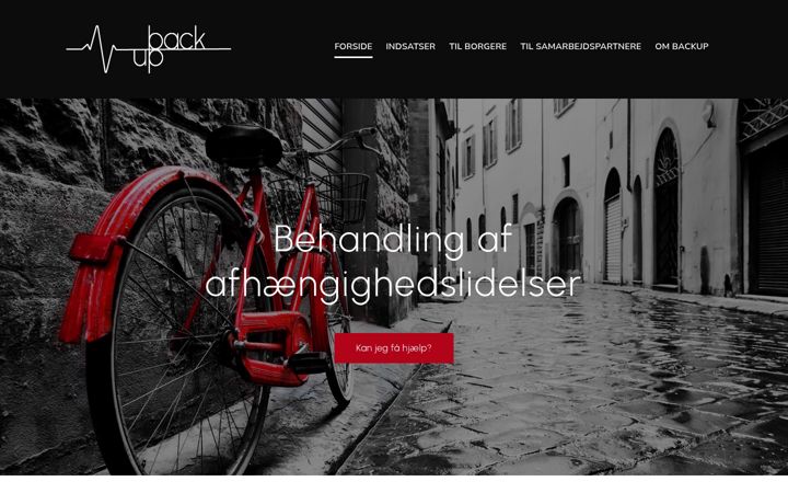 Screenshot of backup-cph.com