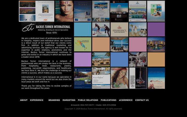 Screenshot of backusturner.com