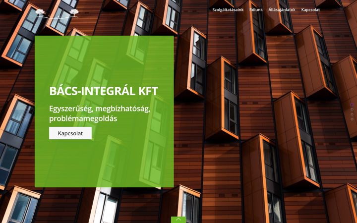 Screenshot of bacsintegral.com