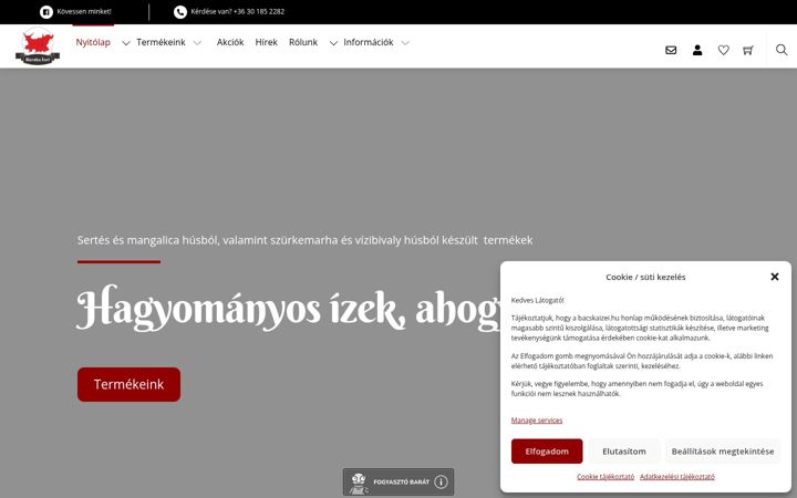 Screenshot of bacskaizei.hu