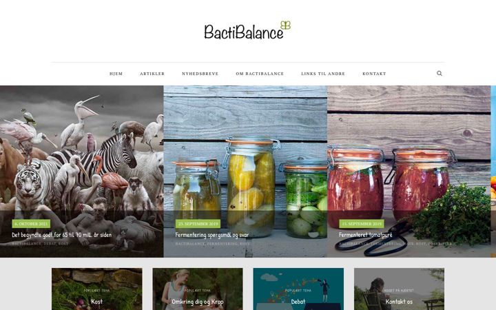 Screenshot of bactibalance.dk