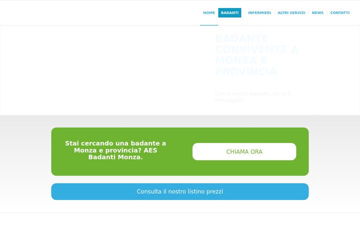 Screenshot of badantemonzaaes.it