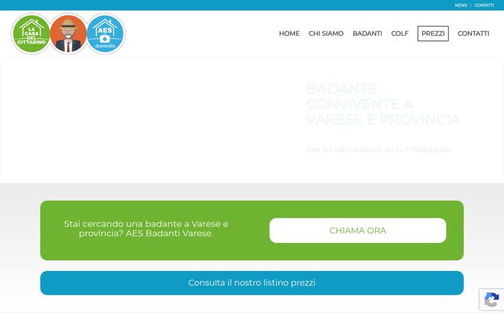 Screenshot of badantevareseaes.it