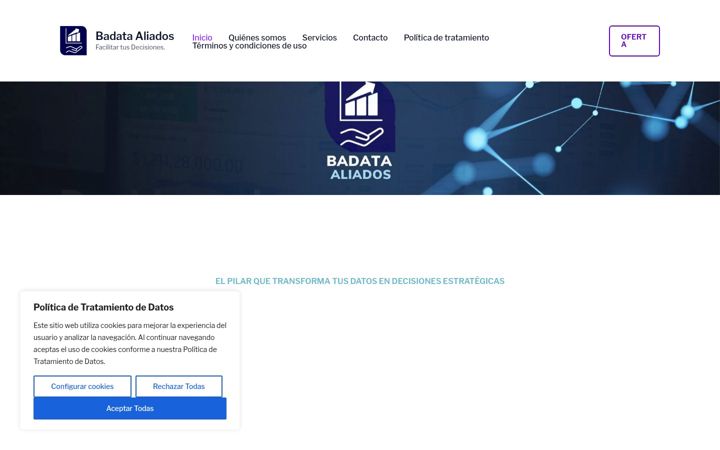 Screenshot of badataaliados.com