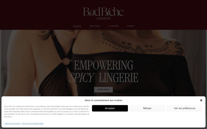 Capture d'écran de badbichelingerie.fr