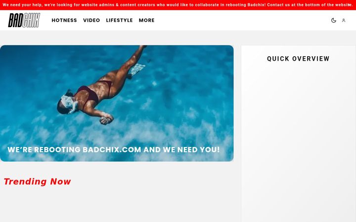 Screenshot of badchix.com