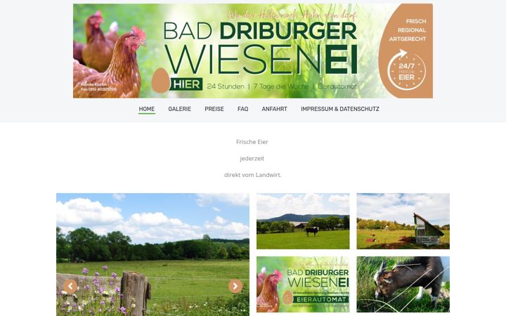Screenshot of baddriburgerwiesenei.de