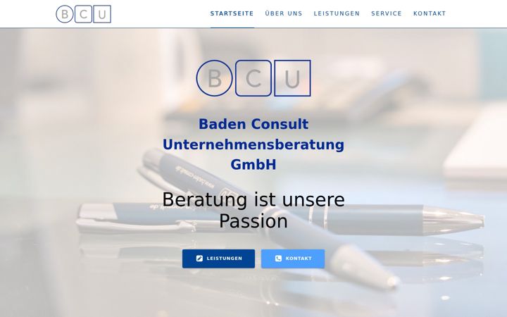 Screenshot of baden-consult.de
