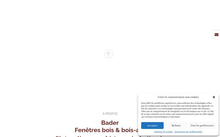 Capture d'écran de bader-bois.fr