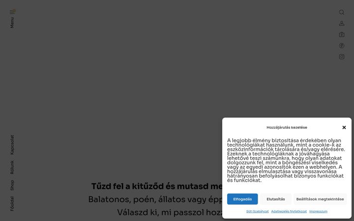 Screenshot of badgebalaton.hu
