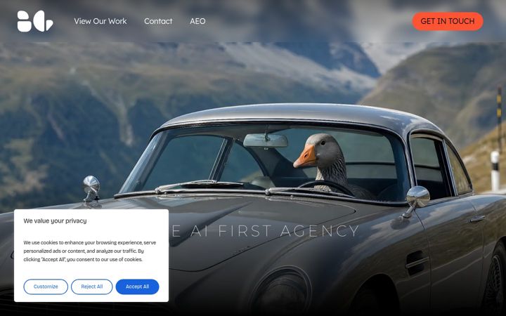 Screenshot of badgoose.ie