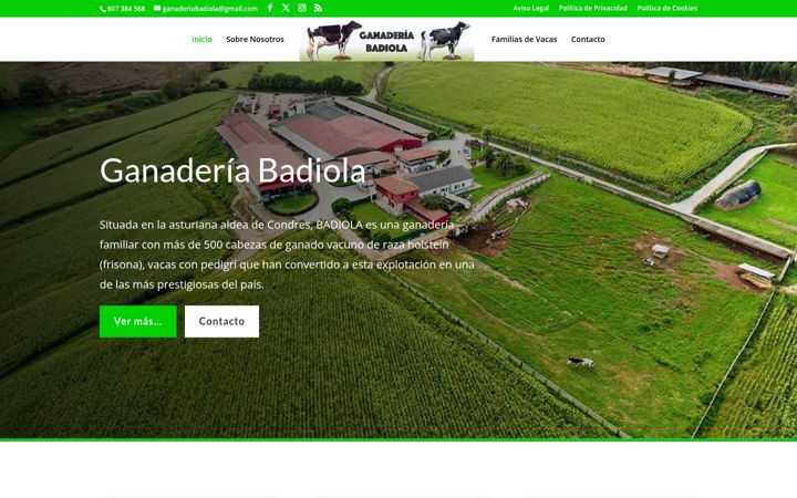 Screenshot of badiolaholstein.com
