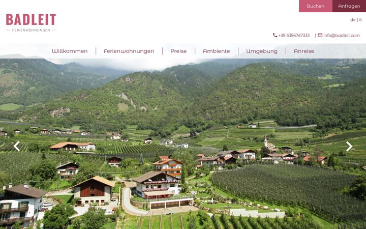 Screenshot of badleit.com