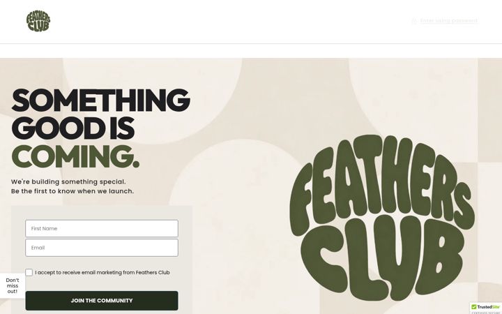 Screenshot of badminwear.com