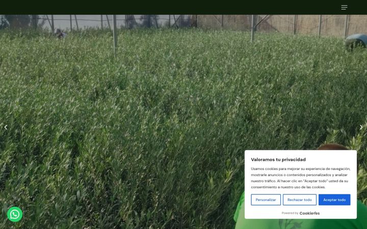 Screenshot of badolivo.es