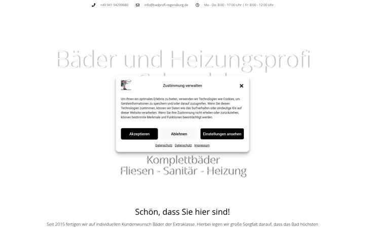 Screenshot of badprofi-regensburg.de