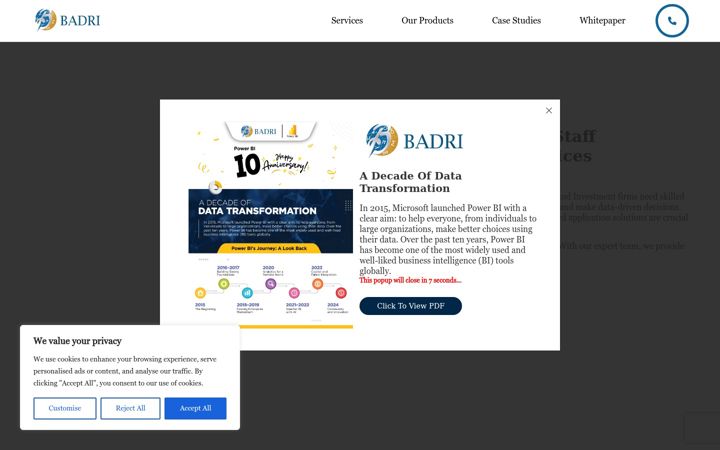 Screenshot of badrisolutions.com