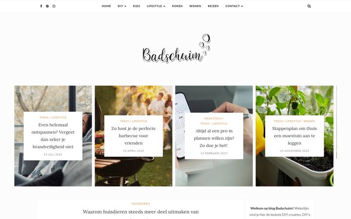 Screenshot of badschuim.eu