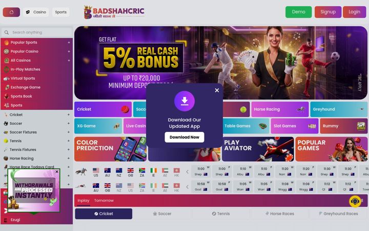 Screenshot του badshahcric.online