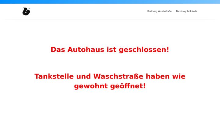 Screenshot of badziong.com