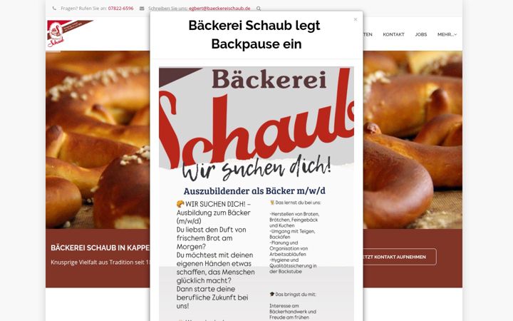 Skjámynd af baeckereischaub.de