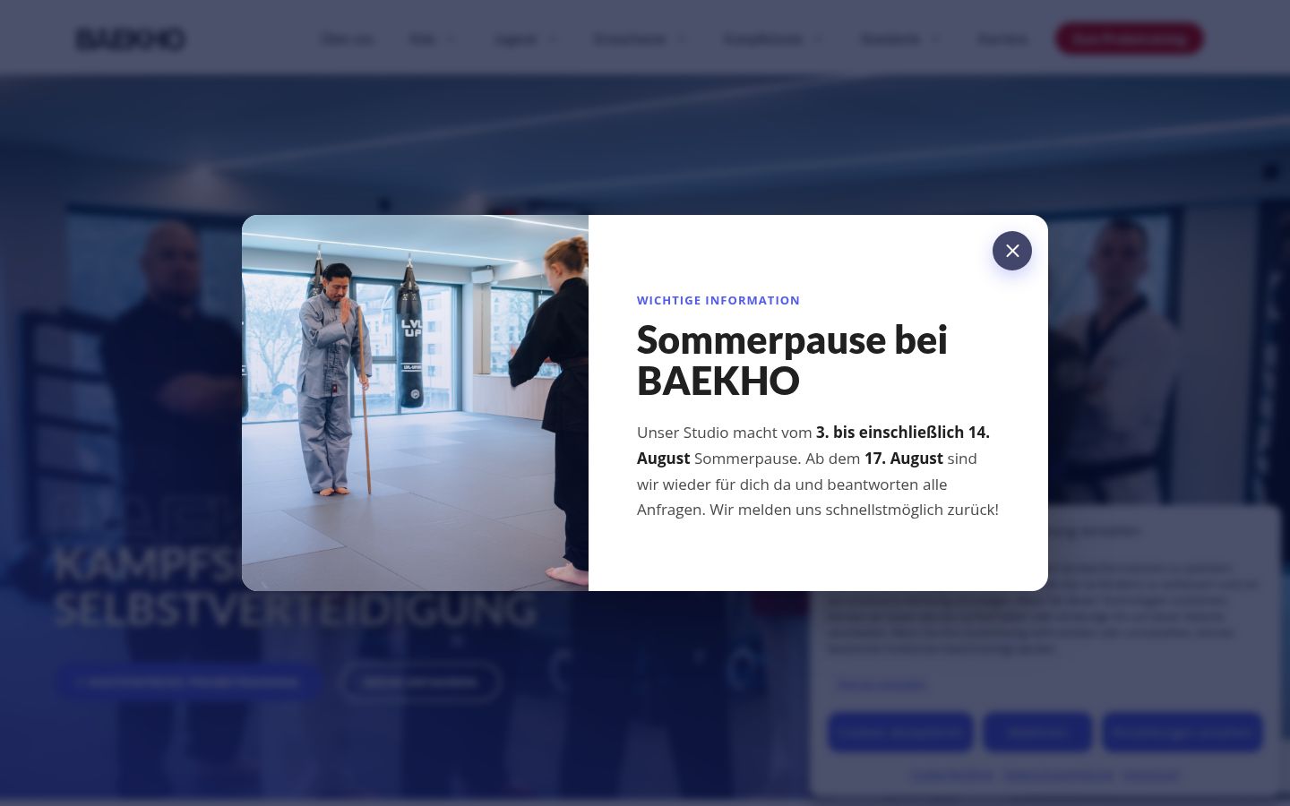 Skærmbillede af samtykkebanneret, som det blev vist før nogen interaktion