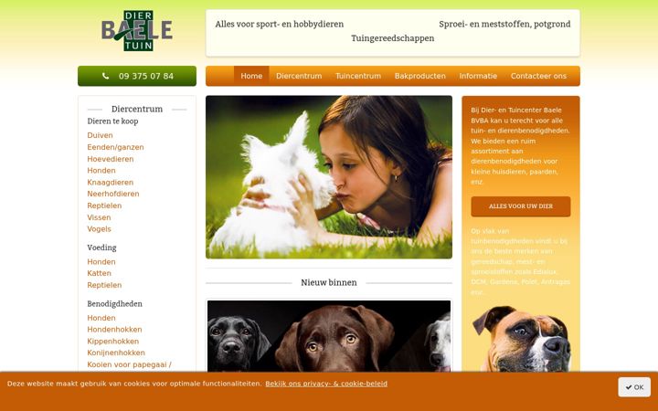 Screenshot of baelebvba.be