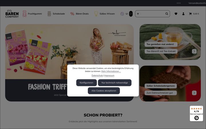 Posnetek zaslona baeren-company.de