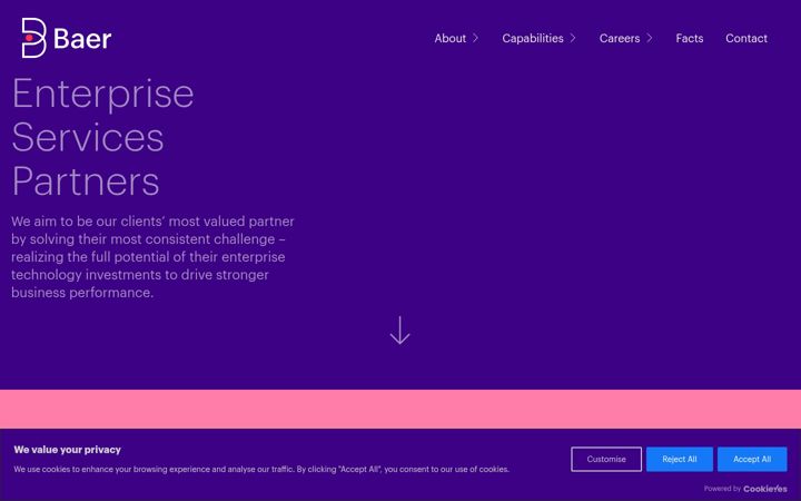 Screenshot of baergroup.com