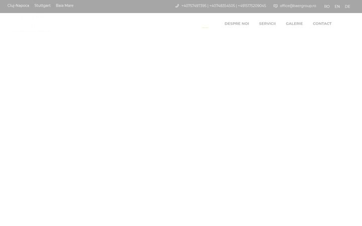 Screenshot of baergroup.ro