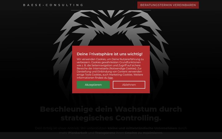Screenshot of baese-consulting.de