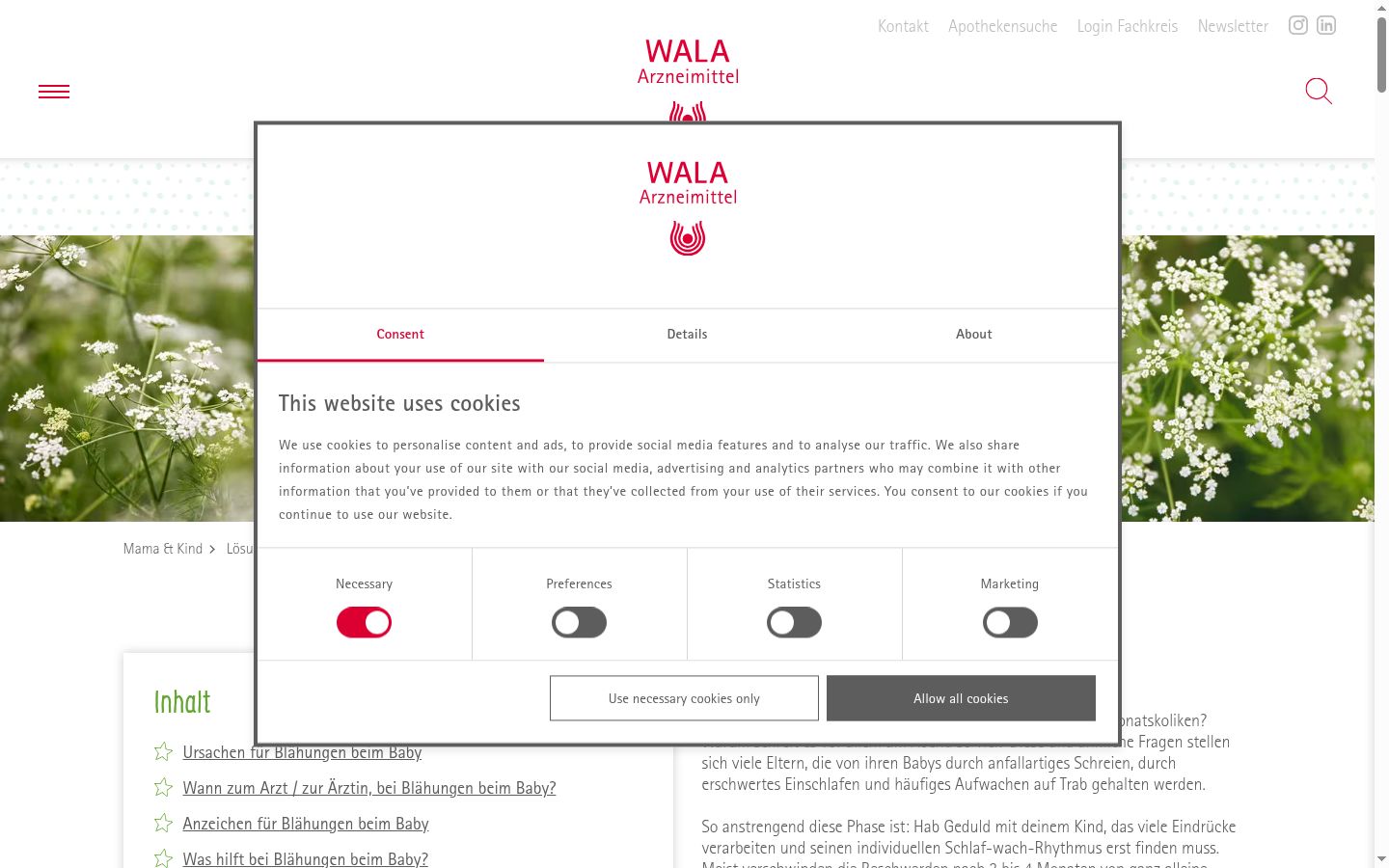 Screenshot van de toestemmingsbanner zoals getoond vóór enige interactie