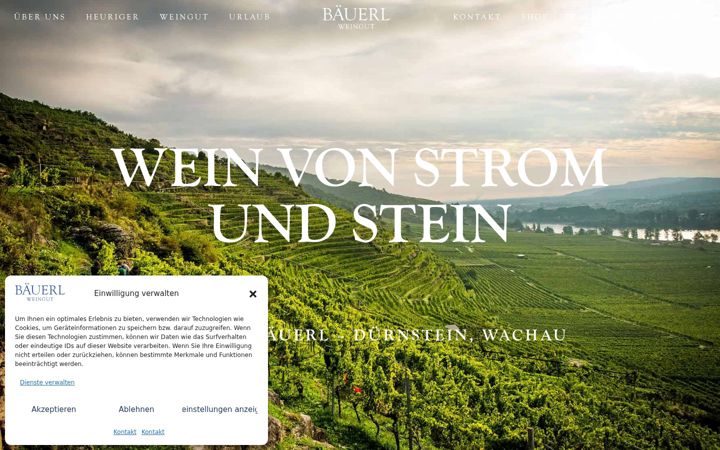 Screenshot of baeuerl.at