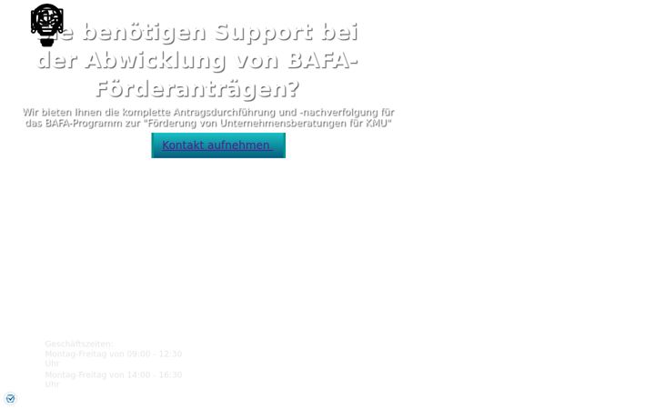 Screenshot of bafa-beraterberichte.de