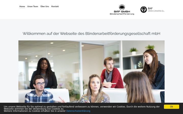Screenshot of bafgmbh.de