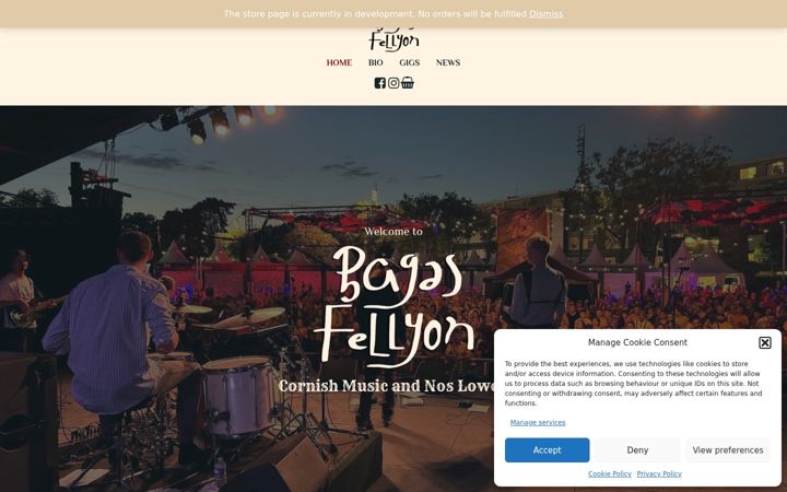 Screenshot of bagasfellyon.co.uk