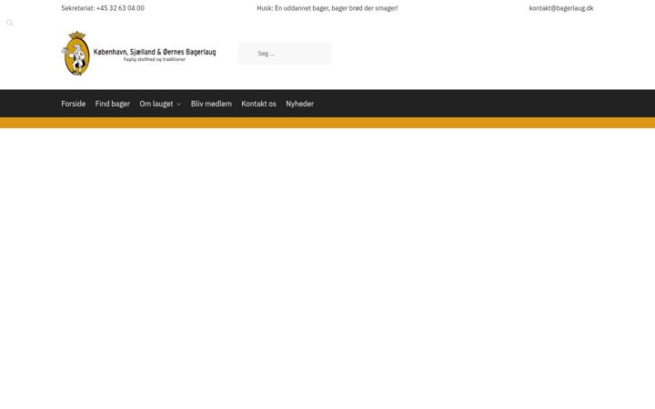 Screenshot of bagerlaug.dk
