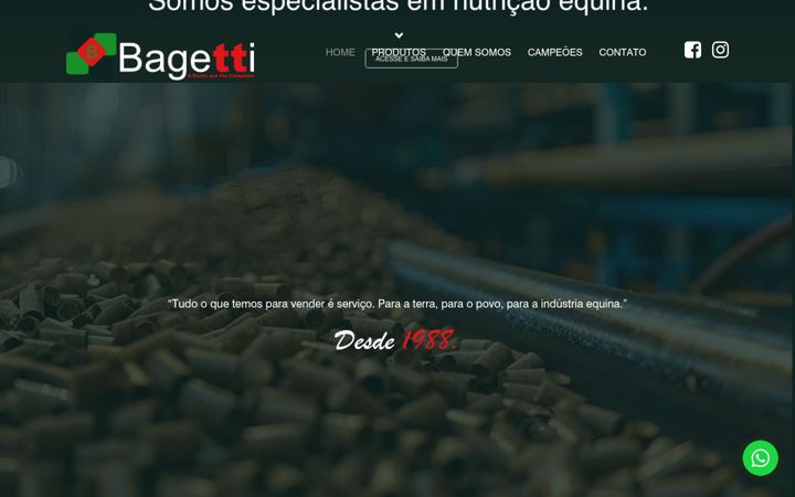 Screenshot of bagetti.com.br
