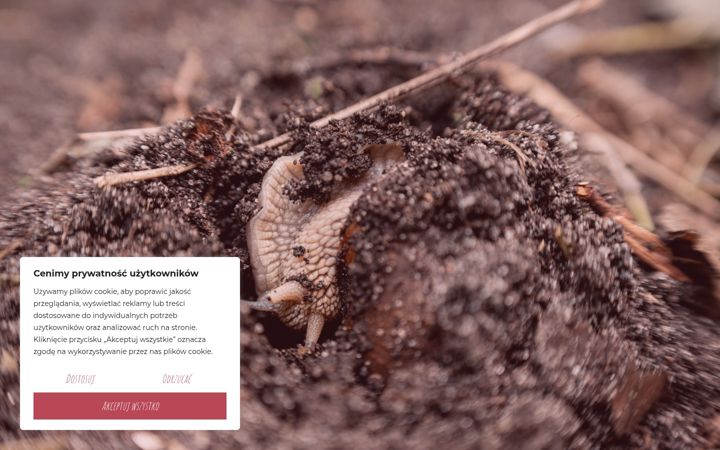 Screenshot of bagienko.com