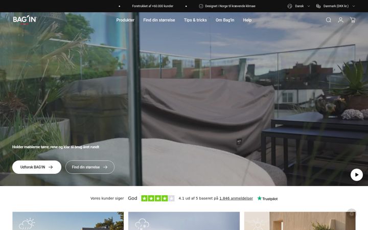 Screenshot of bagin.com
