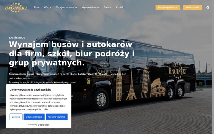 Screenshot of baginskibus.pl