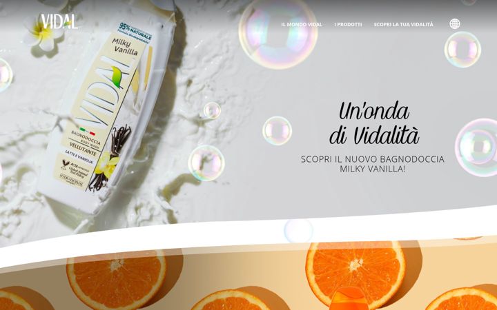Screenshot of bagnodocciavidal.it